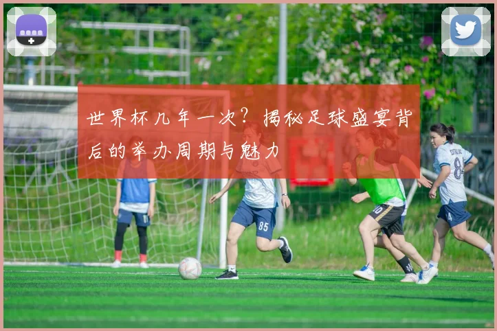 世界杯几年一次？揭秘足球盛宴背后的举办周期与魅力