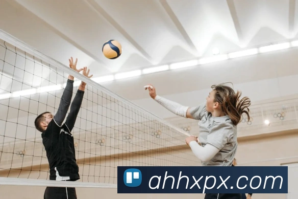 多彩内容专区